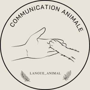 Colienne - Communication Animale